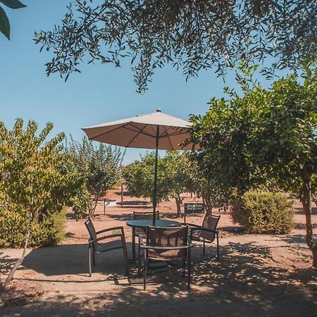 Hotel Castillo Ferrer Valle de Guadalupe Luaran gambar