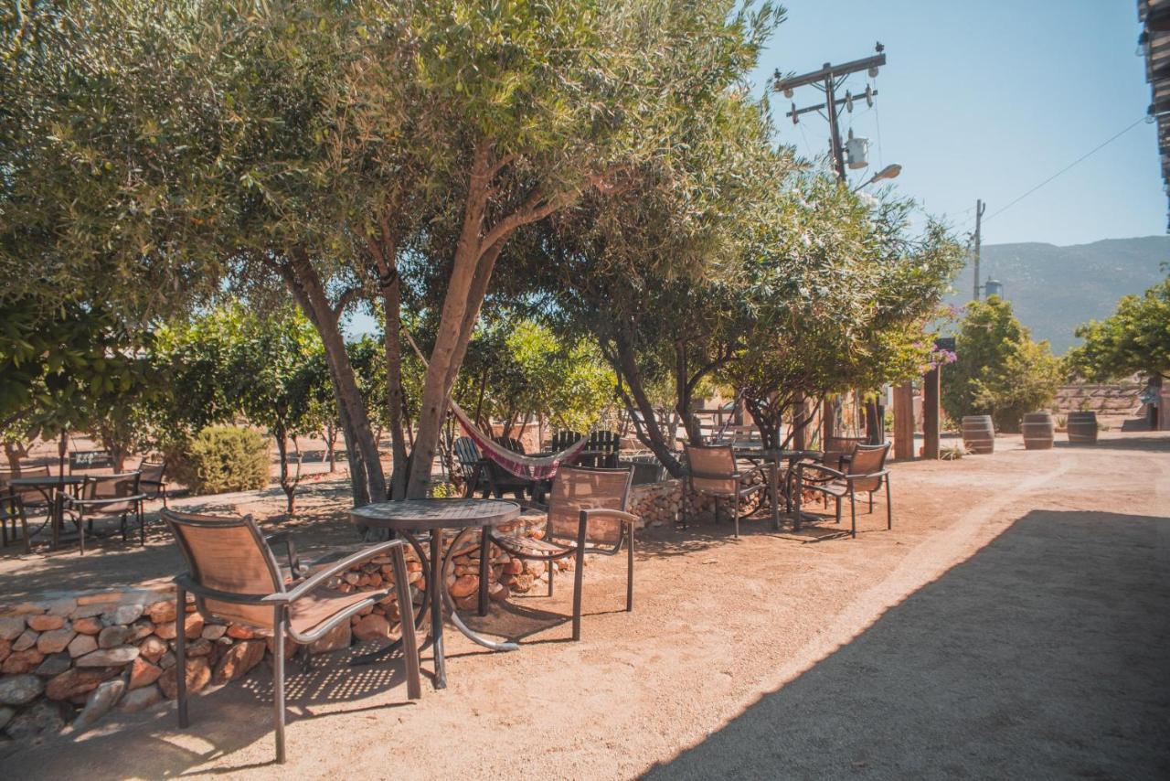 Hotel Castillo Ferrer Valle de Guadalupe Luaran gambar